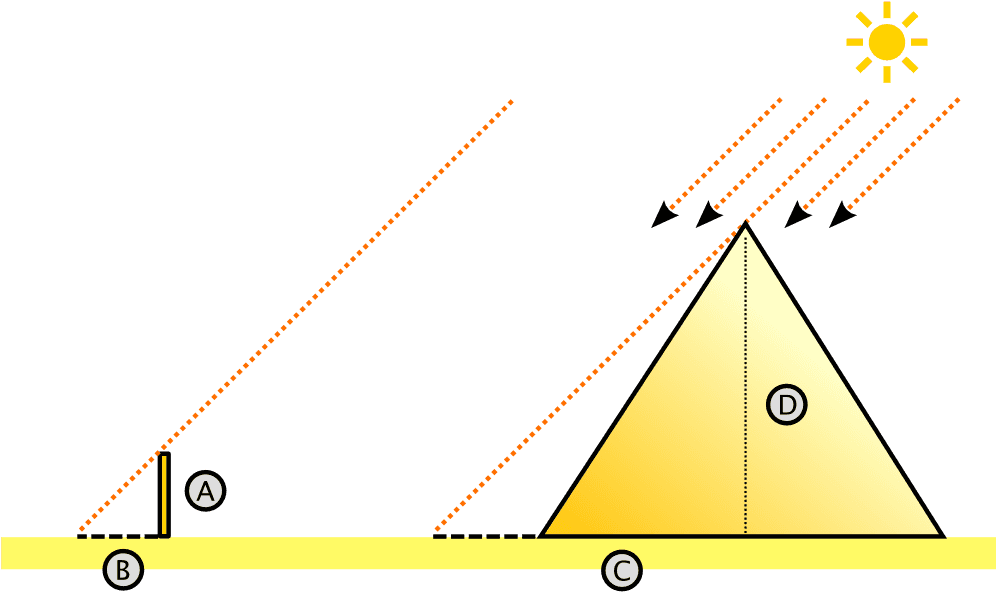 Thales waited until the time of day when his own shadow was the same length as his height. At this point, he reasoned, the shadow of the pyramid must also be the same length as the pyramid's height. So, he measured the pyramid's shadow, and thereby determined the height of the pyramid.